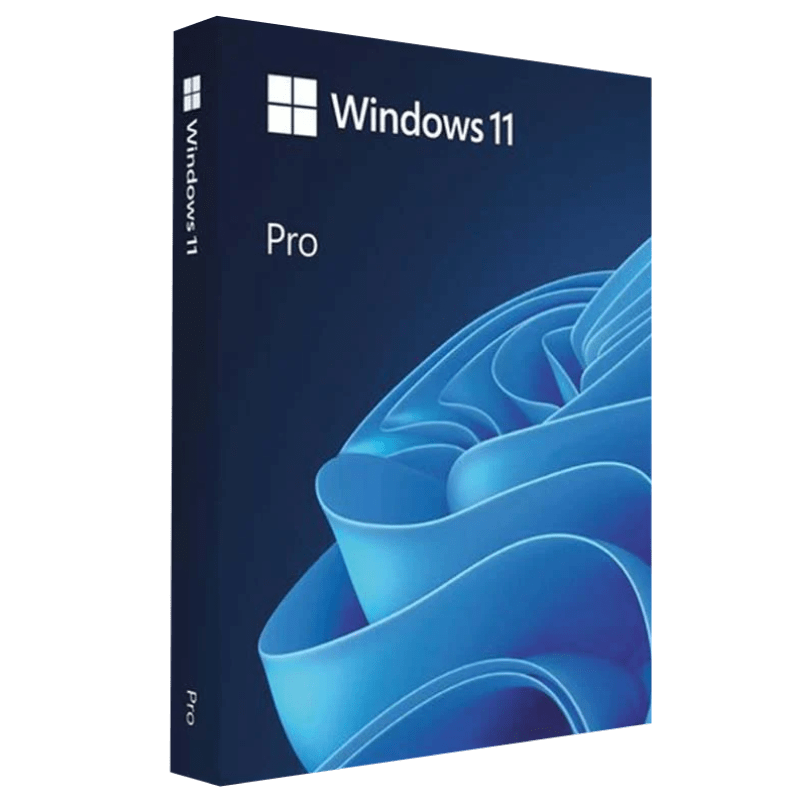 Microsoft Windows 11 Professional